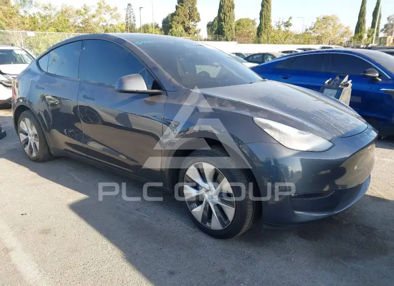 2021 Tesla Model Y photo