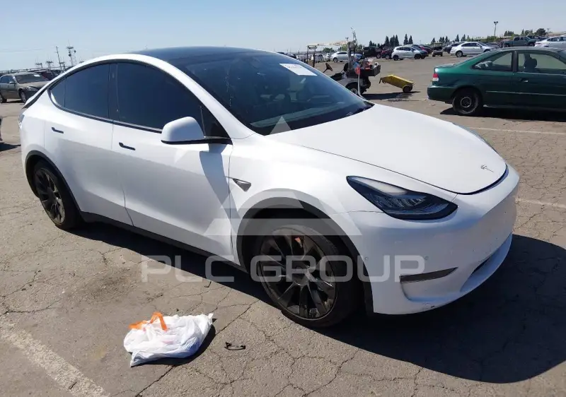 2021 Tesla Model Y фото