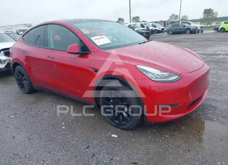 2021 Tesla Model Y photo