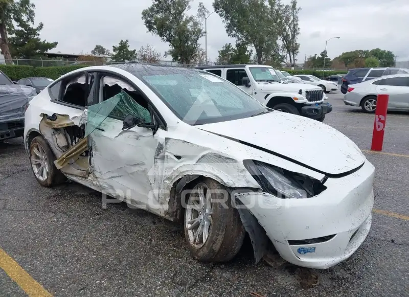 2021 Tesla Model Y photo