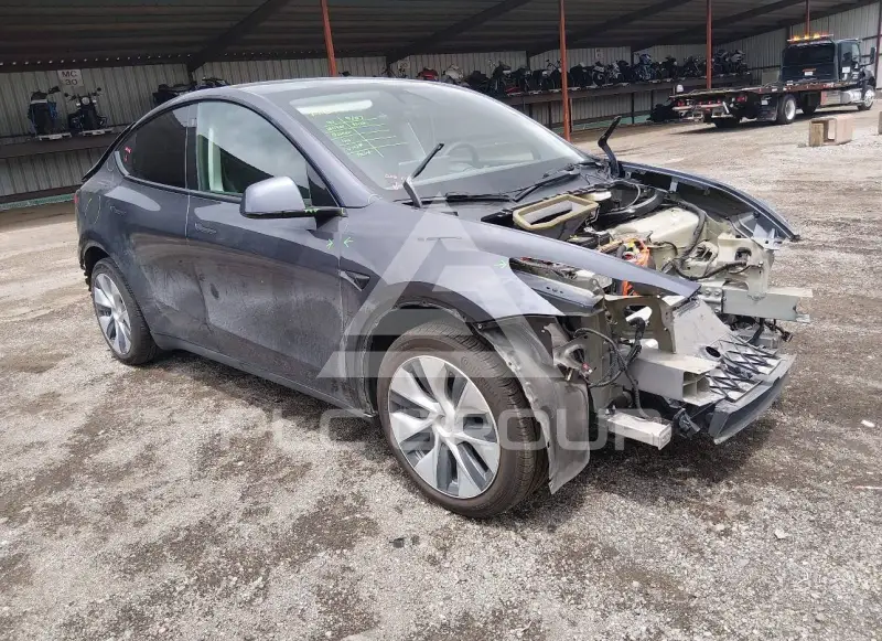 2021 Tesla Model Y фото