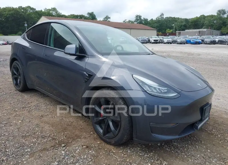 2021 Tesla Model Y фото