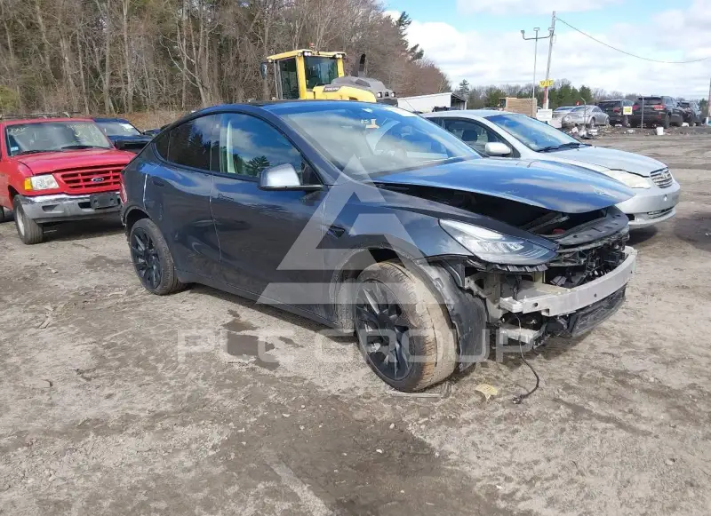 2021 Tesla Model Y фото