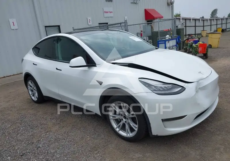 2021 Tesla Model Y фото