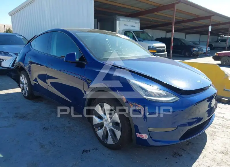 2021 Tesla Model Y фото