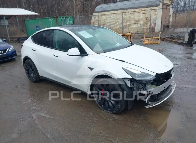 2021 Tesla Model Y photo