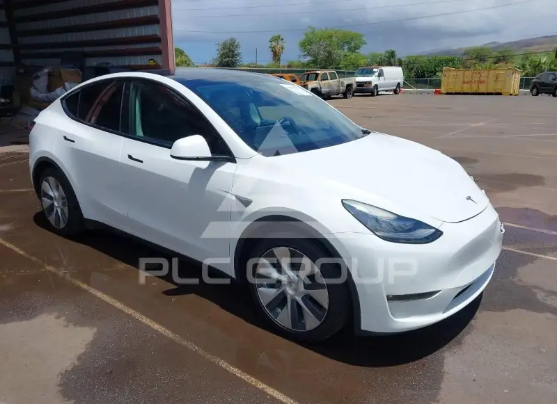 2021 Tesla Model Y фото