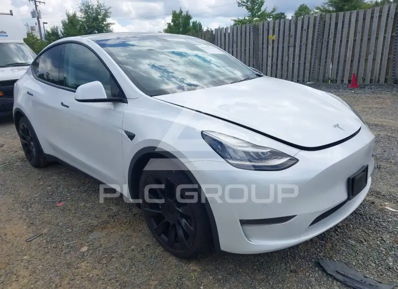 2021 Tesla Model Y photo