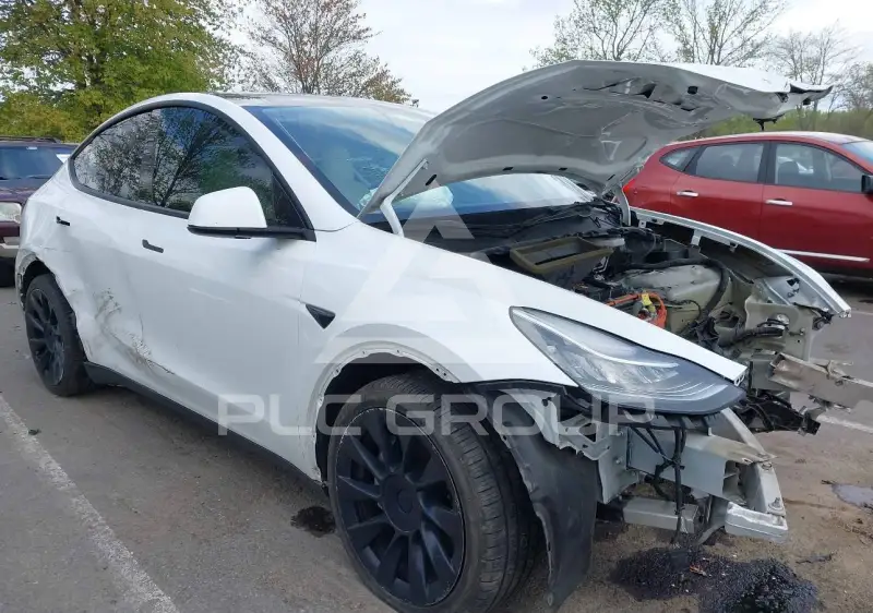 2021 Tesla Model Y фото