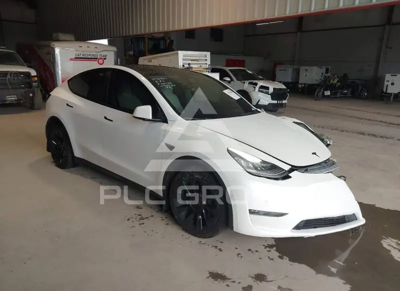 2021 Tesla Model Y фото