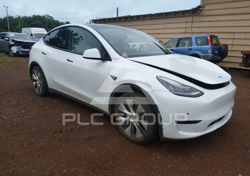 2021 Tesla Model Y фото