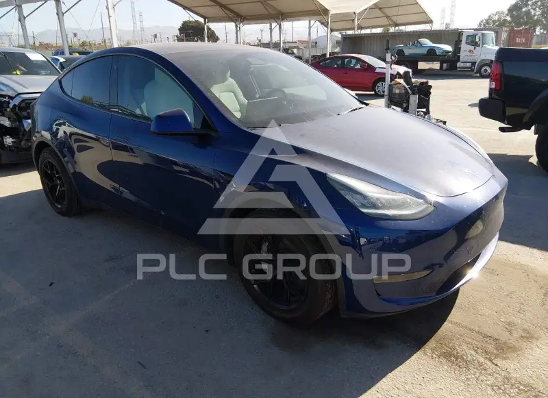 2021 Tesla Model Y фото