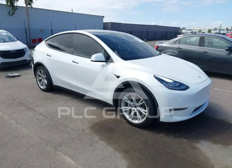 2021 Tesla Model Y фото