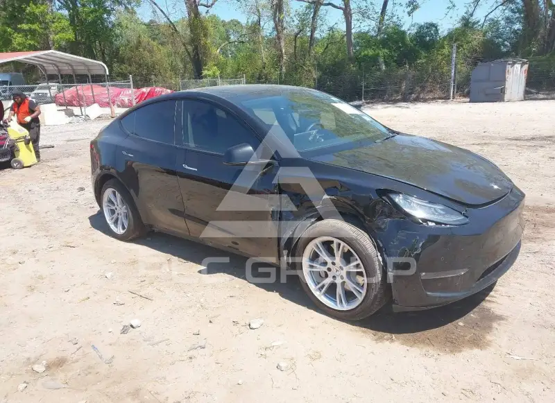 2021 Tesla Model Y photo