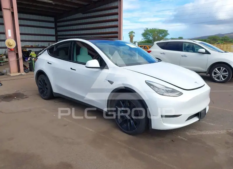 2021 Tesla Model Y photo