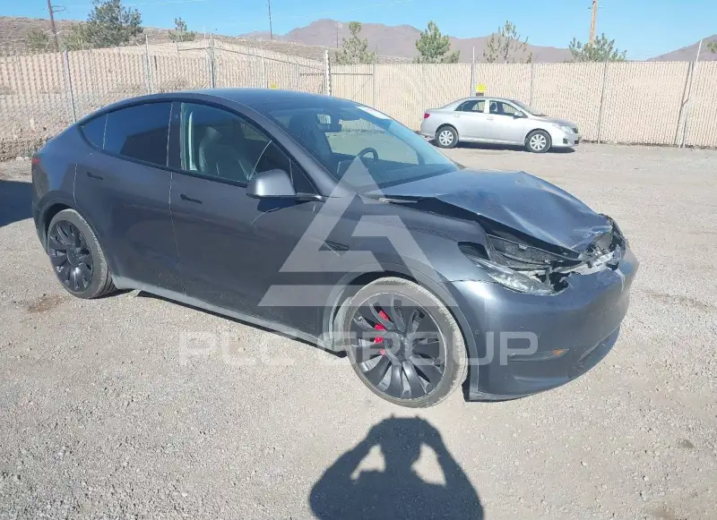2021 Tesla Model Y photo