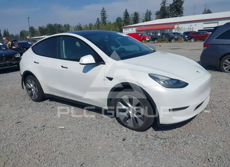 2021 Tesla Model Y фото