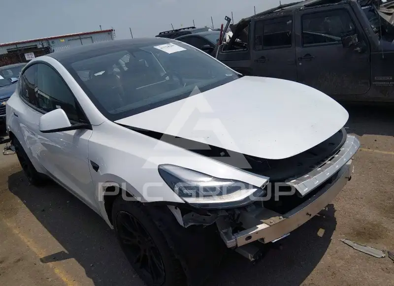 2021 Tesla Model Y фото