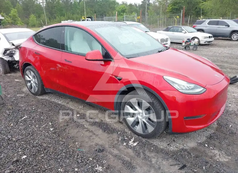 2021 Tesla Model Y photo