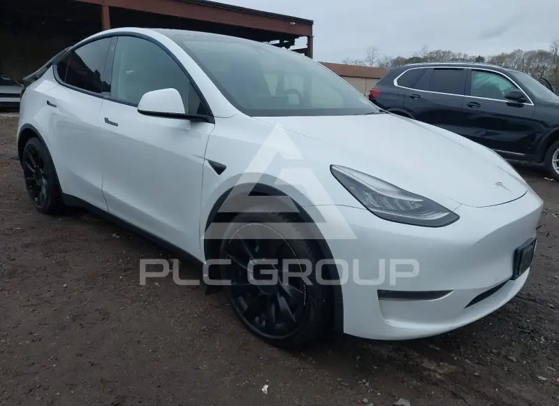 2021 Tesla Model Y photo