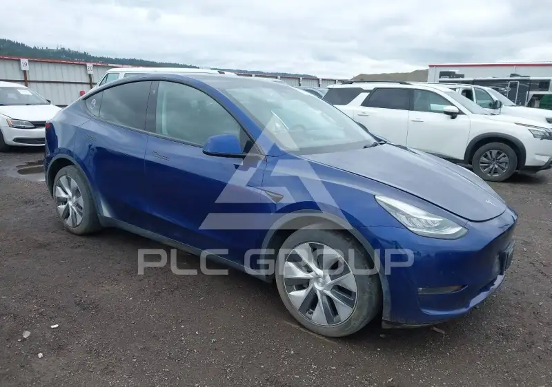 2021 Tesla Model Y фото