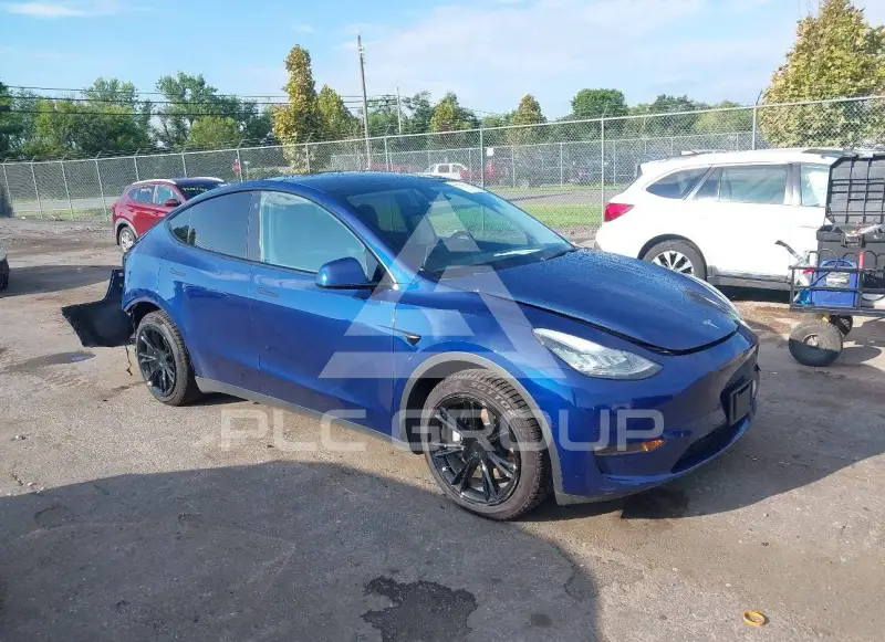 2021 Tesla Model Y photo