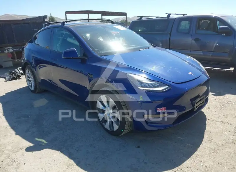 2021 Tesla Model Y photo