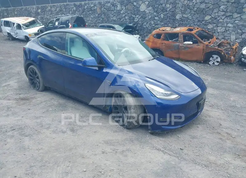2021 Tesla Model Y фото