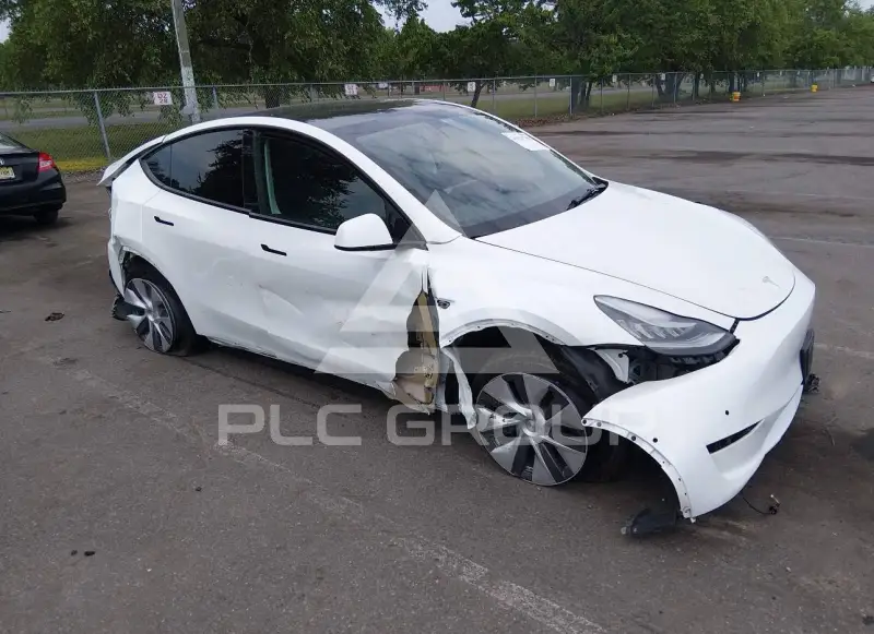 2021 Tesla Model Y фото