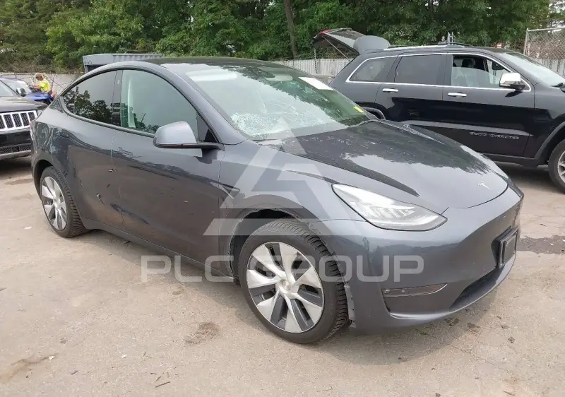 2021 Tesla Model Y photo