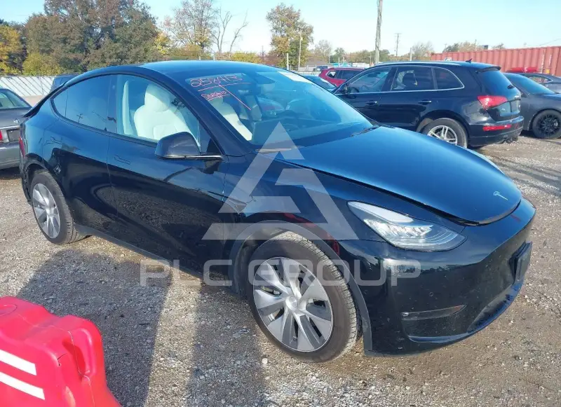 2021 Tesla Model Y фото