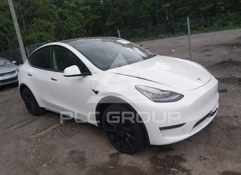 2021 Tesla Model Y photo
