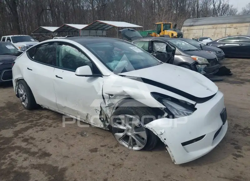 2021 Tesla Model Y фото