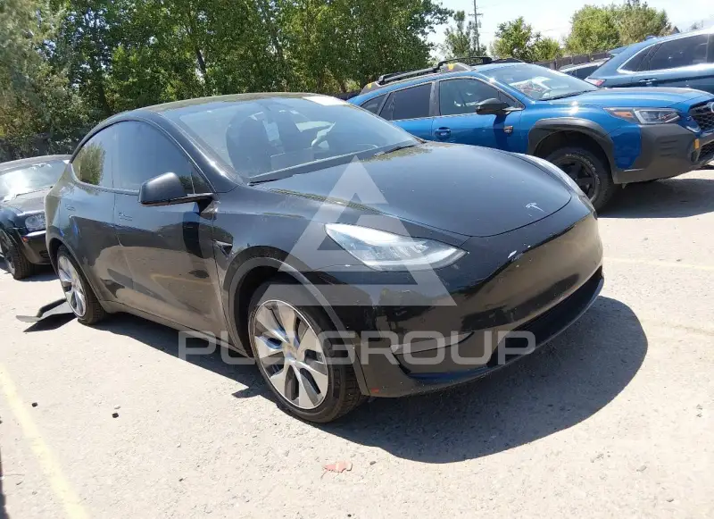 2021 Tesla Model Y photo
