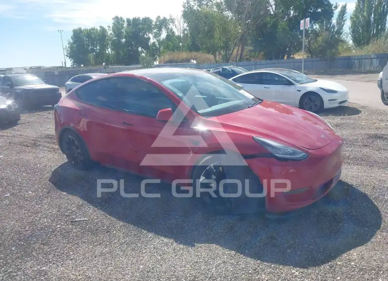 2021 Tesla Model Y фото