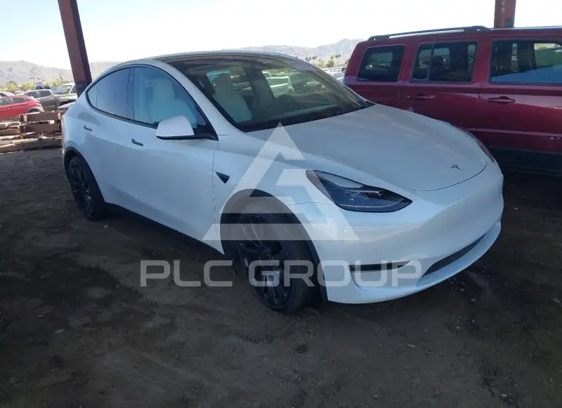 2021 Tesla Model Y фото