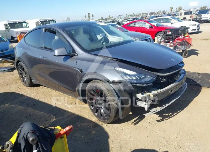 2021 Tesla Model Y photo