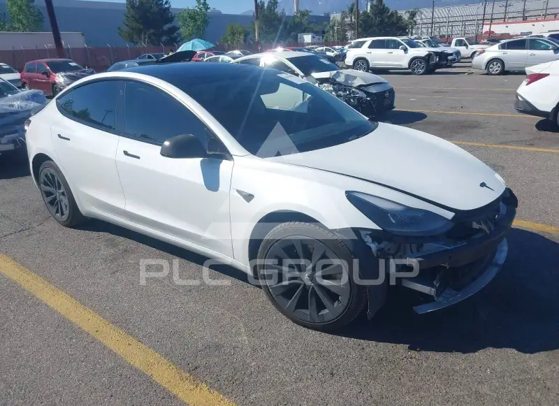 2021 Tesla Model 3 photo