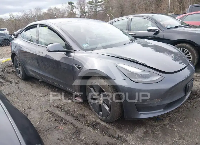 2021 Tesla Model 3 photo
