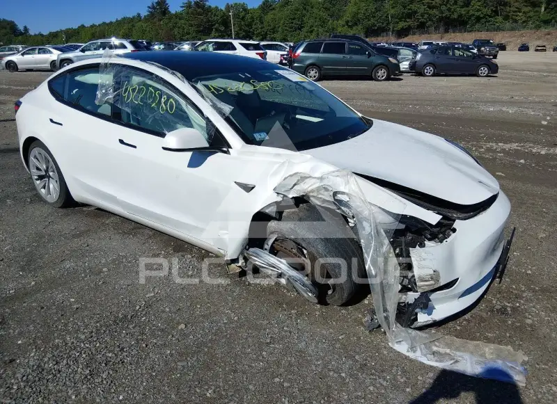 2021 Tesla Model 3 фото