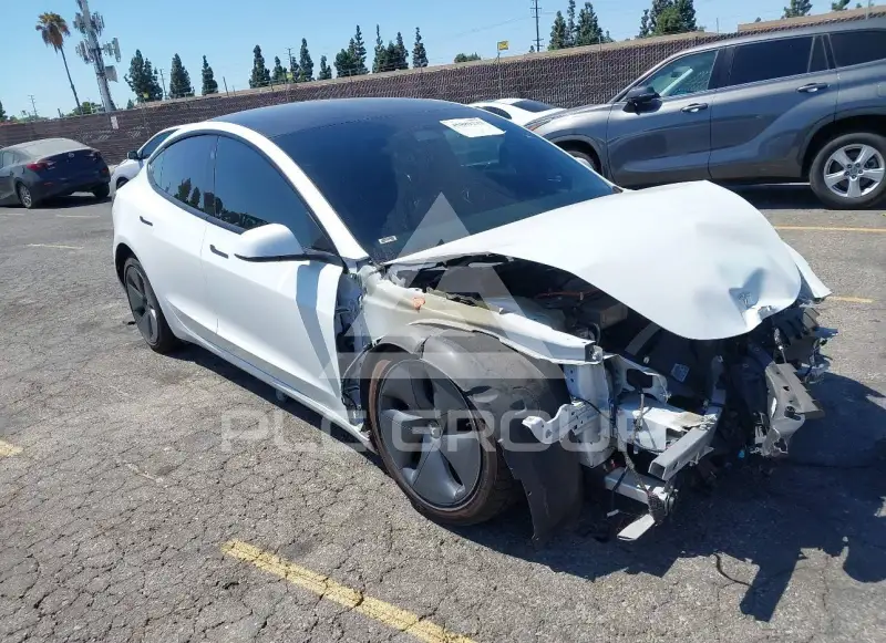 2021 Tesla Model 3 фото