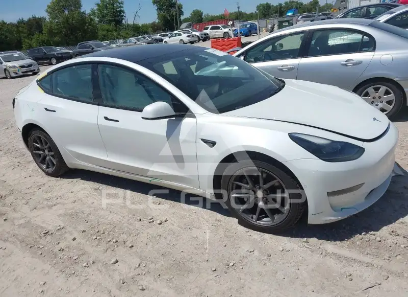 2021 Tesla Model 3 фото