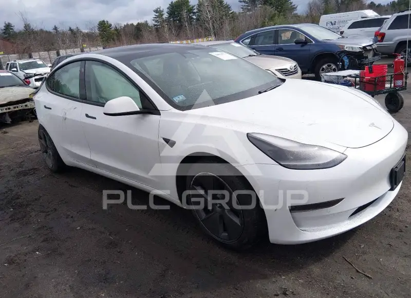 2021 Tesla Model 3 фото