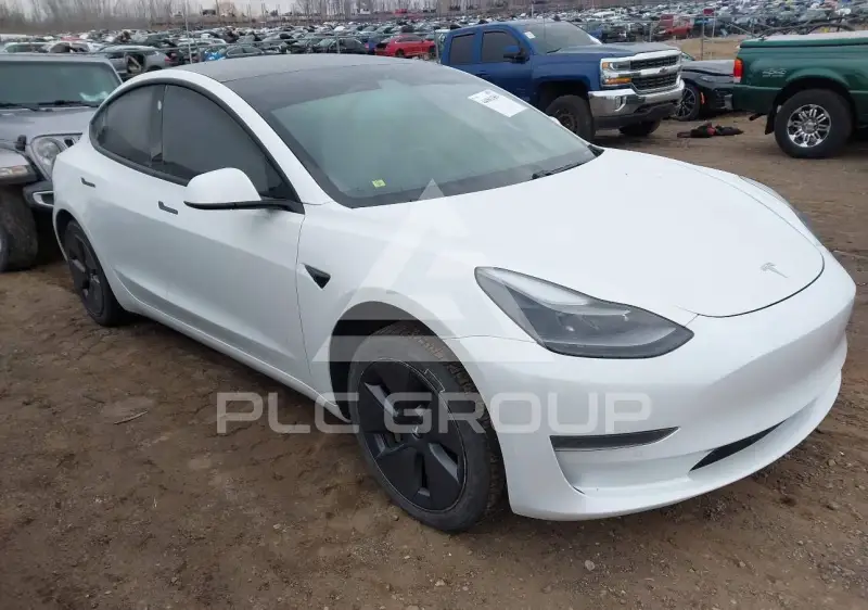2021 Tesla Model 3 photo