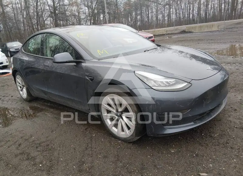2021 Tesla Model 3 photo