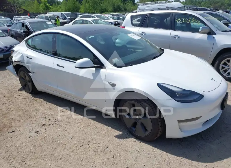 2021 Tesla Model 3 фото