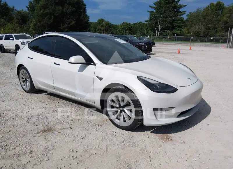 2021 Tesla Model 3 фото