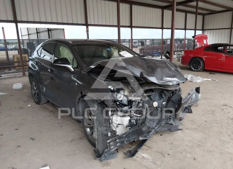 2021 Lexus NX300 фото