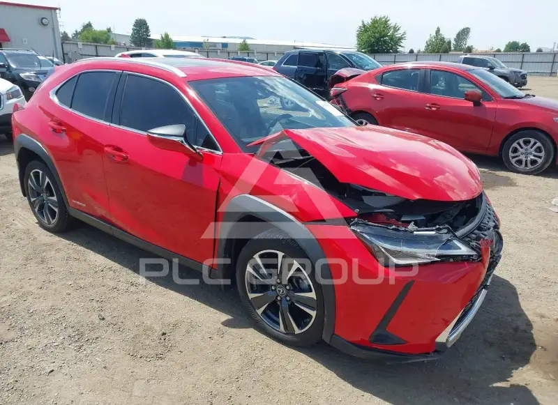 2021 Lexus UX250 фото