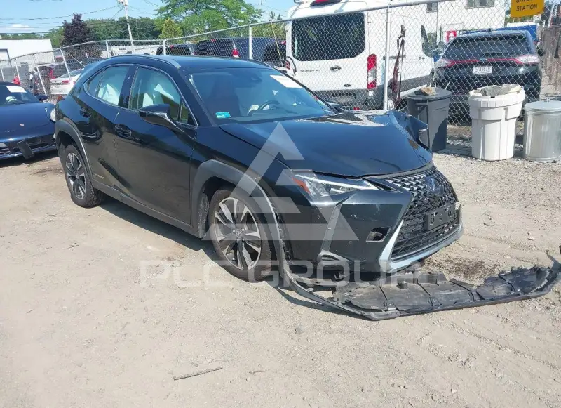 2021 Lexus UX250 photo